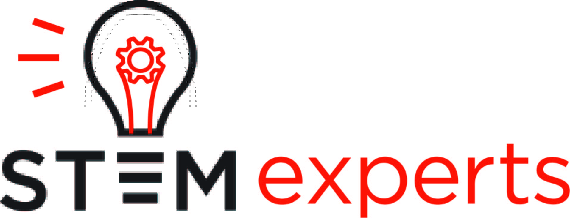 STEM Experts